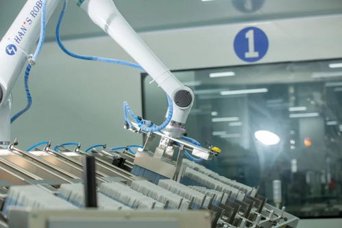 國貨美妝品牌透明化，源自品質自信引領家居用品新潮流